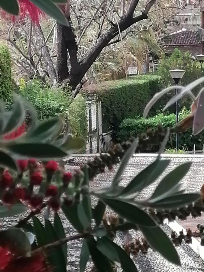 " Domus Coralla" Bnb Racconti Di Viaggio คาตาเนีย ภายนอก รูปภาพ