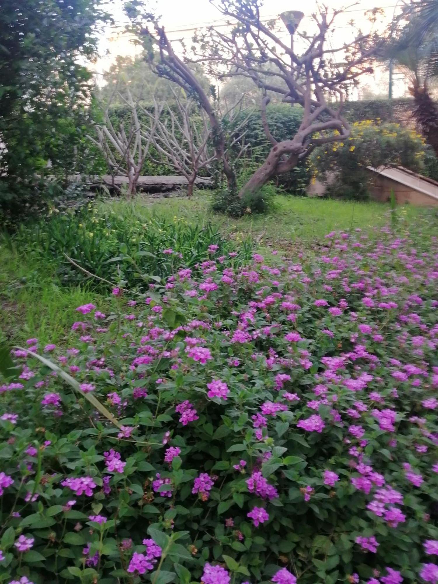 " Domus Coralla" Bnb Racconti Di Viaggio คาตาเนีย ภายนอก รูปภาพ