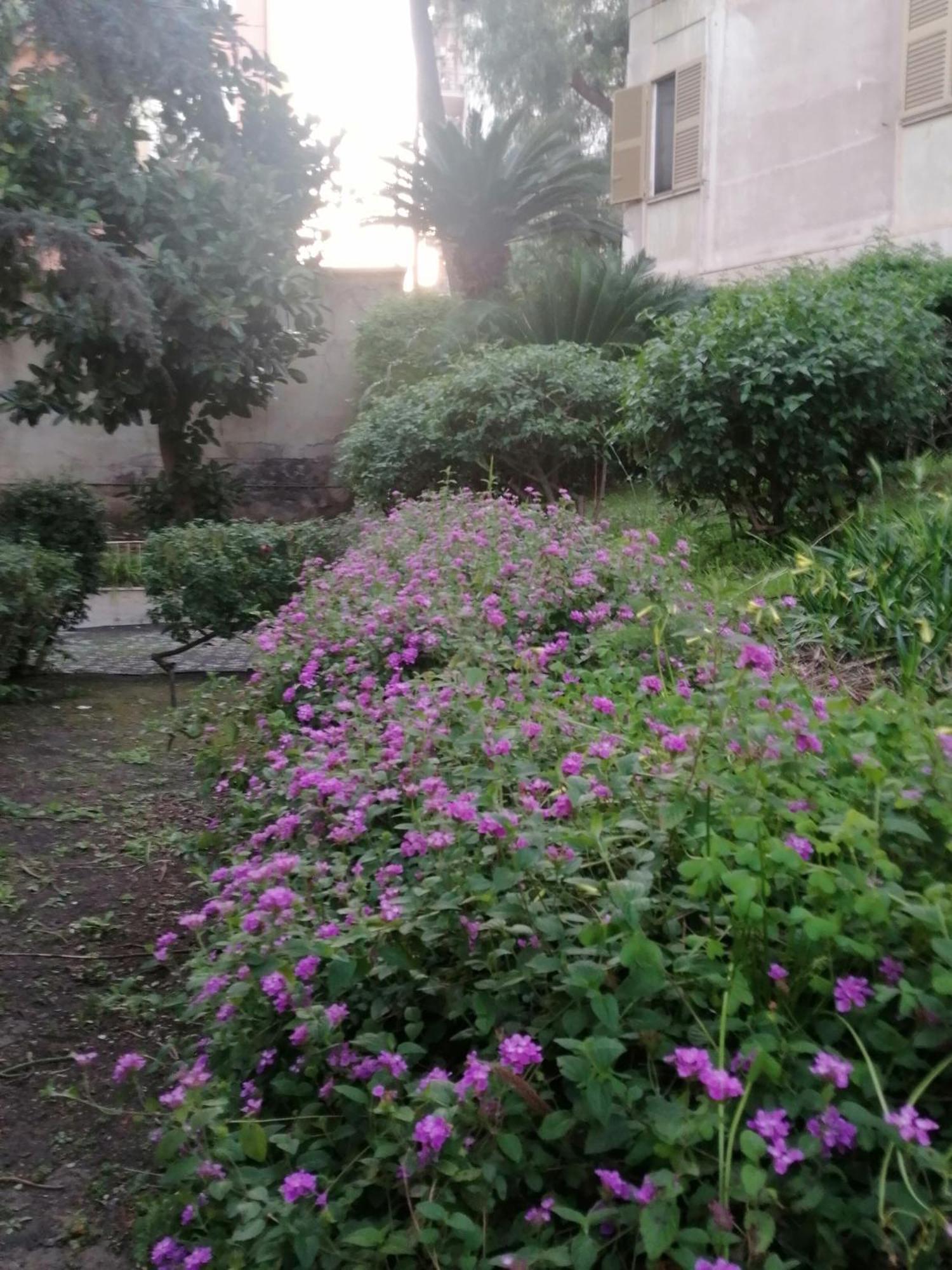 " Domus Coralla" Bnb Racconti Di Viaggio คาตาเนีย ภายนอก รูปภาพ