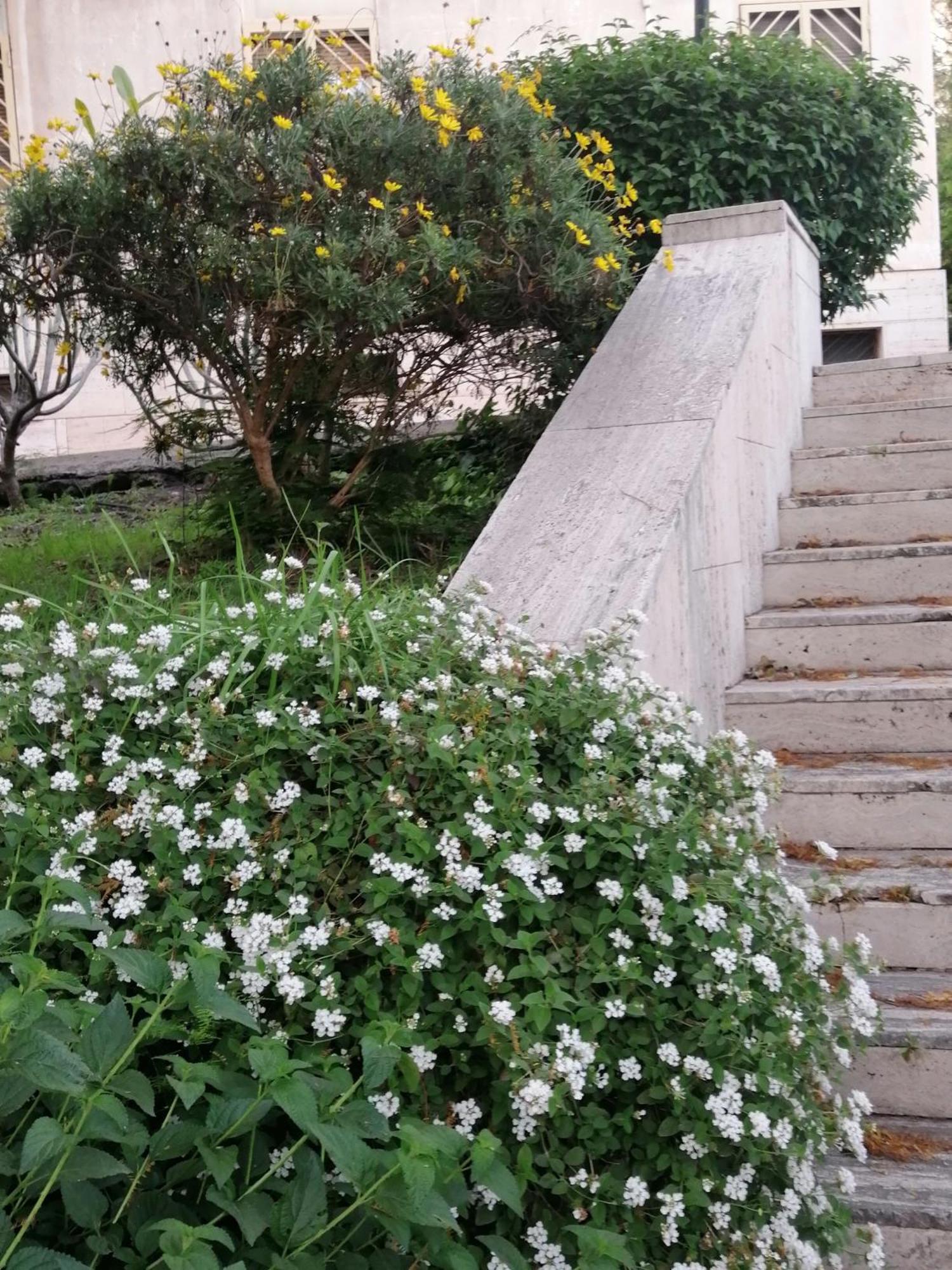" Domus Coralla" Bnb Racconti Di Viaggio คาตาเนีย ภายนอก รูปภาพ